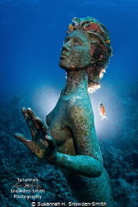 Mermaid statue at Sunset House, Grand Cayman

I used a ... by Susannah H. Snowden-Smith 